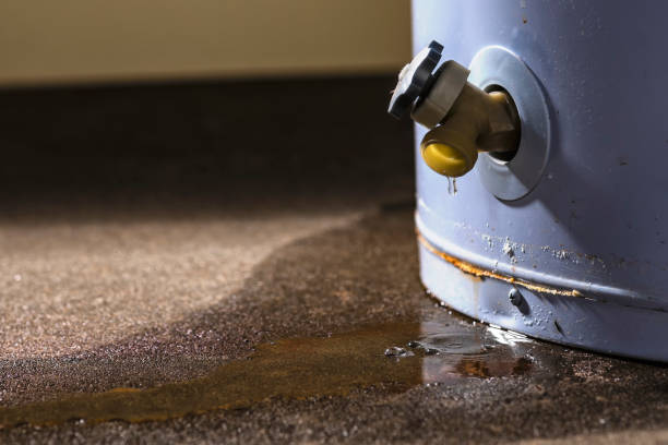 Best Water damage contractors near me  in Islamorada Village Of Islands, FL
