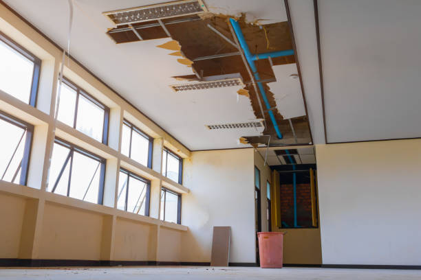 Best Water damage restoration near me  in Islamorada Village Of Islands, FL