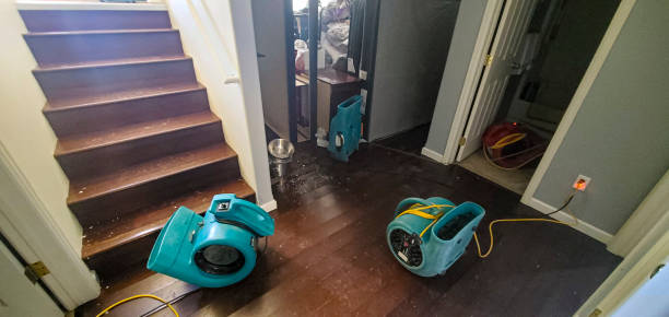 Best 24-hour water damage restoration  in Islamorada Village Of Islands, FL