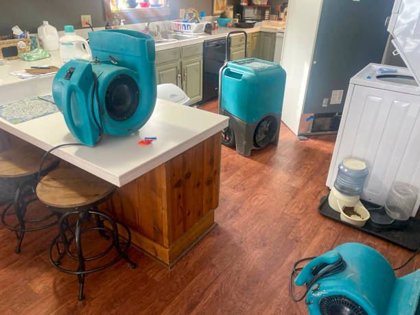 Best Local water damage restoration  in Islamorada Village Of Islands, FL