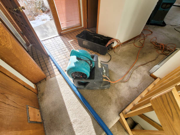 Best Local water damage restoration  in Islamorada Village Of Islands, FL