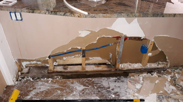Best Basement water damage restoration  in Islamorada Village Of Islands, FL