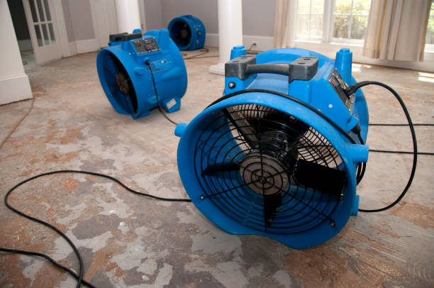 Best Flood damage cleanup  in Islamorada Village Of Islands, FL