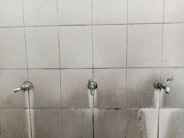 Best Ceiling water damage repair  in Islamorada Village Of Islands, FL