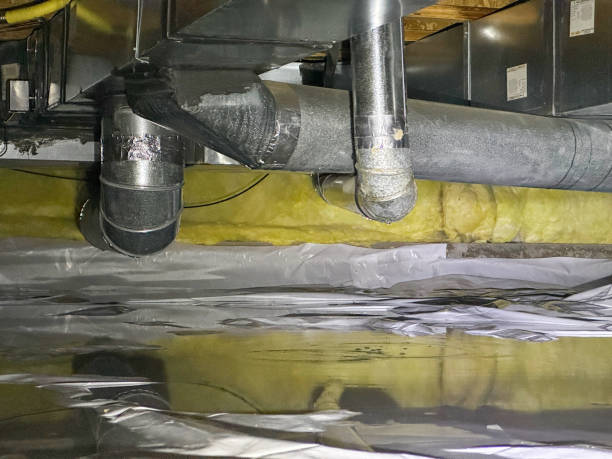 Trusted FL Water damage restoration Experts