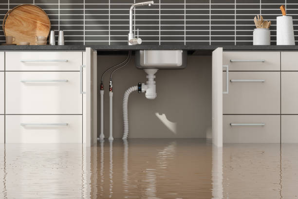 Best Mold removal after water damage  in Islamorada Village Of Islands, FL