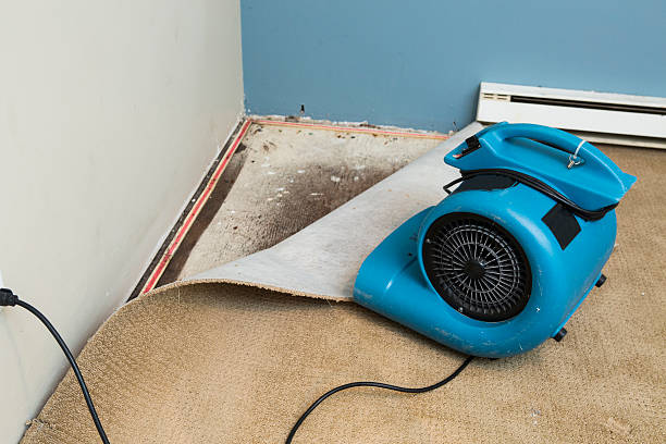 Best 24/7 water damage repair  in Islamorada Village Of Islands, FL